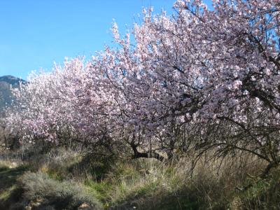 20070627122839-naturaleza.jpg