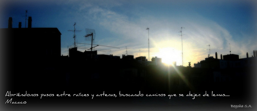 Bego�a